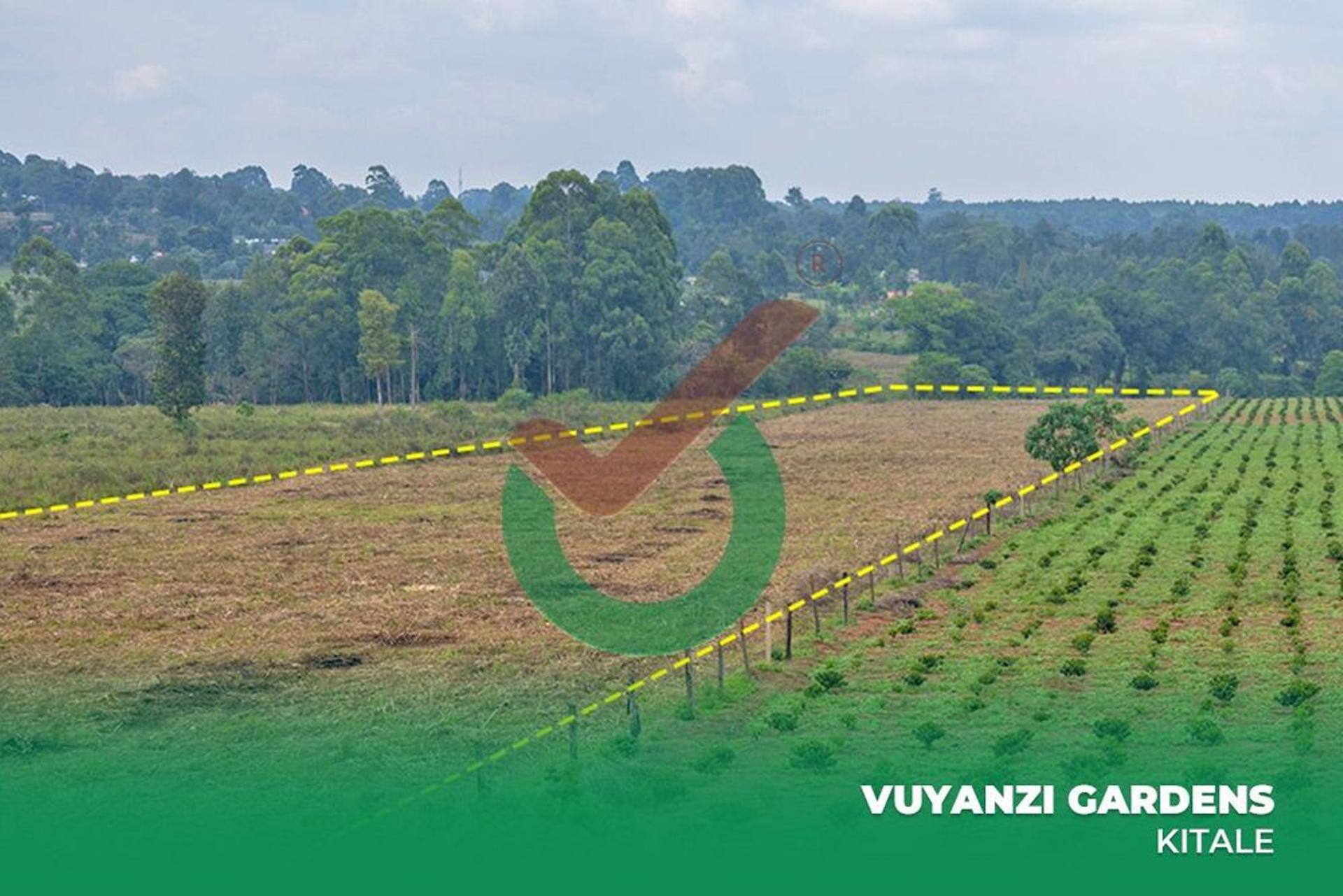 Image for Vuyanzi Gardens - Kitale